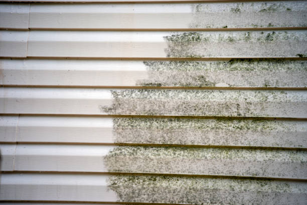 Best Siding Removal and Disposal  in Cleveland, AL